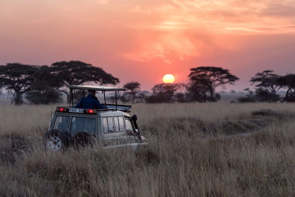 Serengeti national parks in Africa